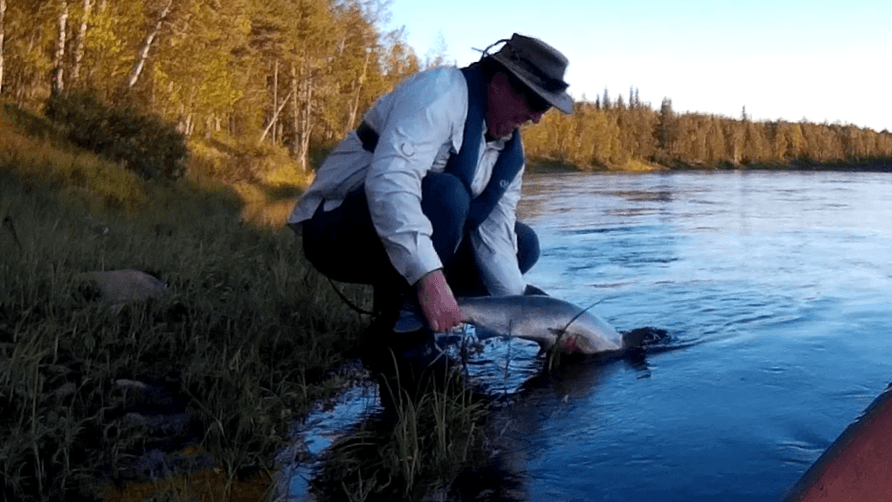 Guided fishing in Lapland