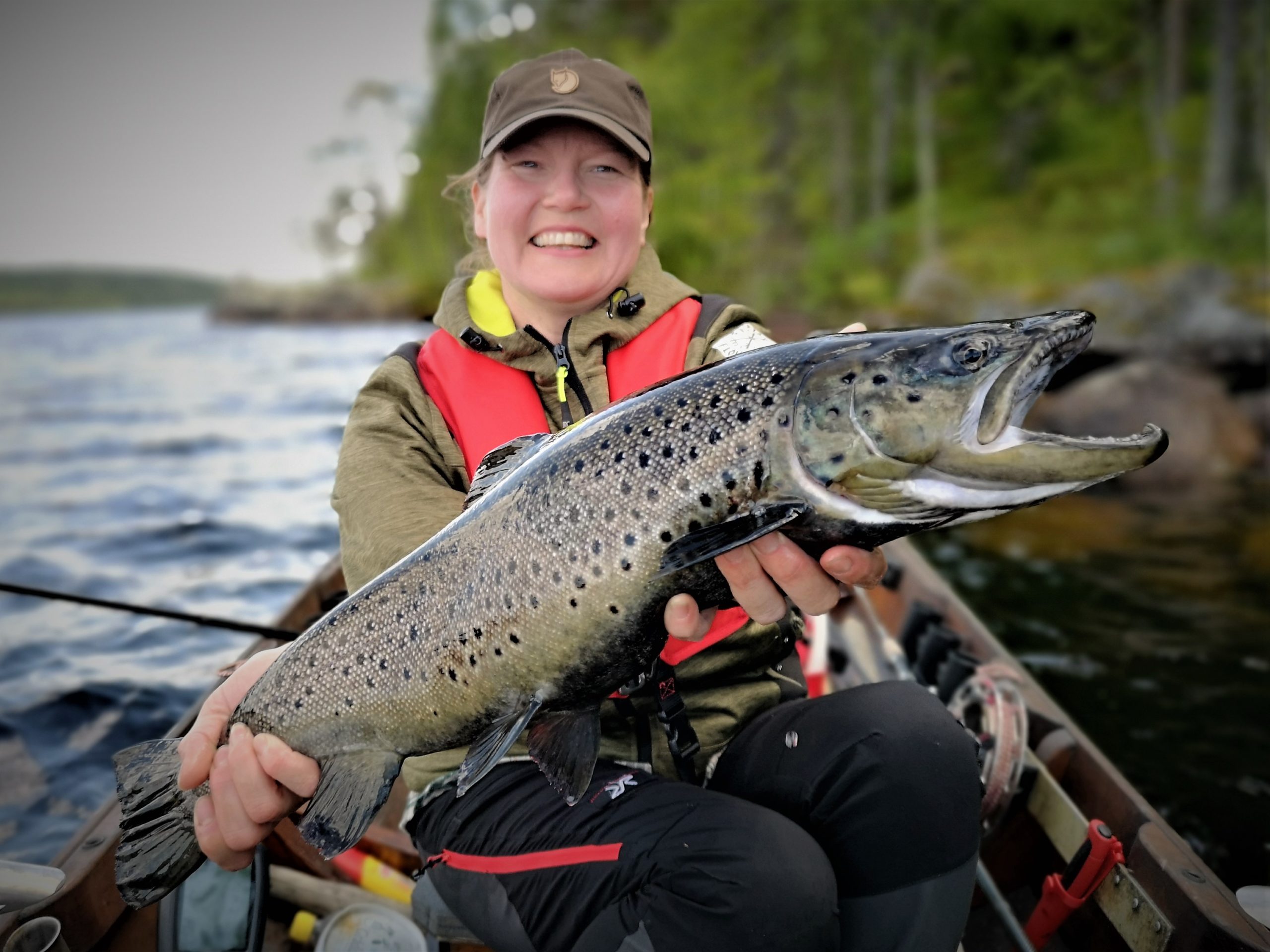 Brown trout fishing in Arctic wilderness